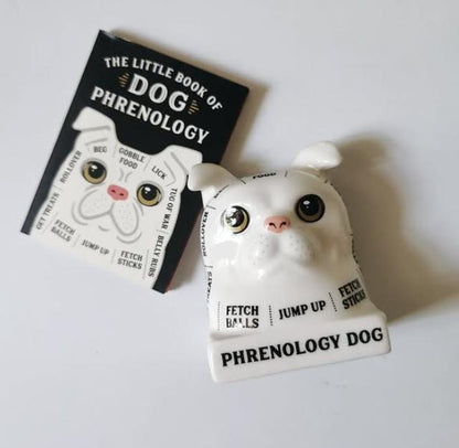 Dog Phrenology – Ceramic Dog Bust with Mini Book | Whimsical Dog Mind Reading Décor