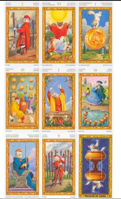 Tarot of White Cats Series – Classic and Mini Tarot Deck Rider-Waite | Lo Scarabeo